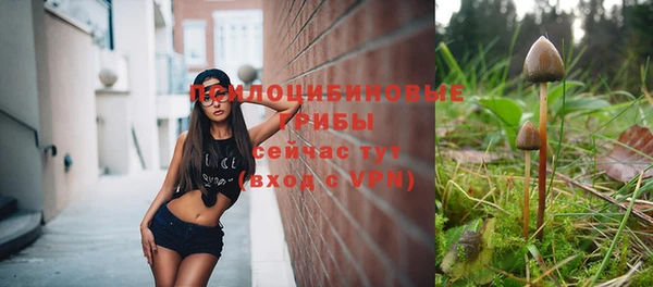 стафф Няндома