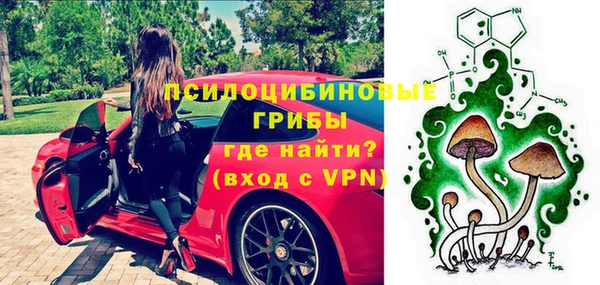 ALPHA PVP Нягань
