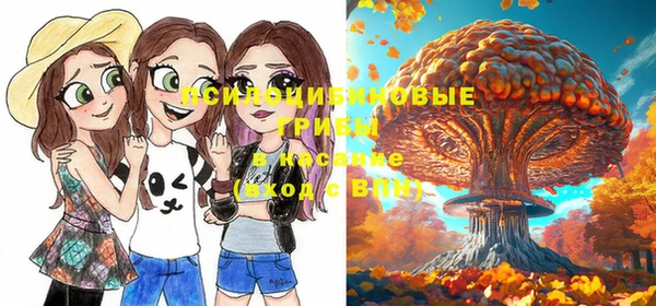 стафф Няндома